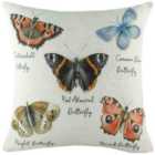 Evans Lichfield Species Butterflies Filled Cushion