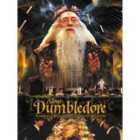 Harry Potter (Dumbledore) - 40 X 50cm Canvas