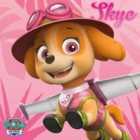 Paw Patrol (Skye) 40x40 Canvas