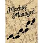 Harry Potter (Mischief Managed) 30x40cm X 1.8cm Canvas