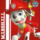 Paw Patrol (Marshall Ready To Rescue) 40x40 Canvas