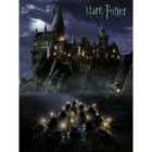 Harry Potter (Hogwarts School) - 30 X 40cm Canvas