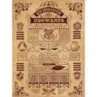 Harry Potter (Quidditch At Hogwarts) 30x40cm X 1.8cm Canvas