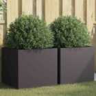 vidaXL Planters 2 Pcs Black 49X47X46cm Cold-rolled Steel