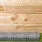 Samuel Alexander 10m x 90cm x 25mm Galvanised Steel Chicken Garden Wire Netting / Fencing