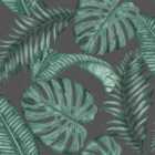Dominica Black & Green Wallpaper 10m x 53cm
