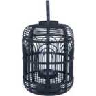 Pacific Black Bamboo And Glass Large Lantern