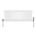 Traditional 2 Column Radiator 300 X 1012Mm White