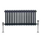 Traditional 2 Column Radiator 300 X 832Mm Anthracite Grey