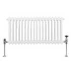 Traditional 2 Column Radiator 300 X 832Mm White