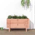 vidaXL Garden Raised Bed 101x50x57cm Solid Wood Douglas