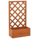 vidaXL Garden Trellis Planter Orange 50x25x90cm