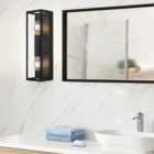 Eglo Amezola Black Caged Bathroom Wall/Ceiling Light