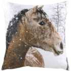 Evans Lichfield Polar Bear With Hat Polyester Filled Cushion In Multi 43 X 43Cm