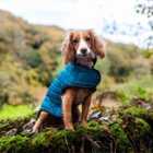 Henry Wag Quilted Dog Jacket Teal Small 40cm