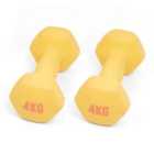 Dumbbell 4Kg Pair