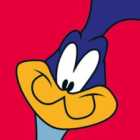 Looney Tunes (road Runner) - 40 X 40Cm