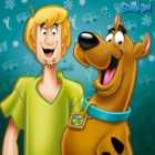 Scooby Doo (shaggy & Scooby) 40X40