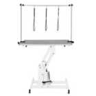 Monster Shop White Hydraulic Grooming Table - Grey Table Top