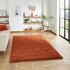 Sierra Terracotta Rectangle 200 x 290cm Polypropylene Plain Shaggy 9000