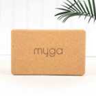 Pair Of Yoga Blocks Cork