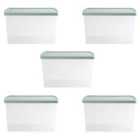 Wham Clip 13.02 62L Rectangular Box & Lid Clear/Green Milieu/Stone