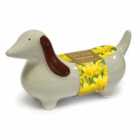 Taylors Bulbs Novelty Sausage Dog Planter