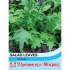 Thompson & Morgan Salad Leaves Speedy 1 Seed Packet (400 Seeds)