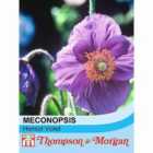 Thompson & Morgan Meconopsis Baileyi Hensol Violet 1 Packet (30 Seeds)