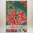 Thompson & Morgan Bee Balm Promo New Kew Range 1 Seed Packet (80 Seeds)