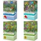 Thompson & Morgan Scatter Seed Box Collection - 4 Packs