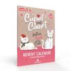Advent Calendar For Cats 70G