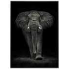 Mario Moreno Ngorongoro Acrylic Print 71X101Cms