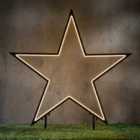 Black LED Star Stake - Warm White