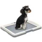 Pawhut Dog Toilet Tray, Dog Litter Tray For Training Dogs, 63 X 49 X 6Cm