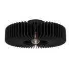Eglo Palombaia Black Wooden Ceiling Light