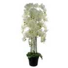 150Cm Giant White Orchid Plant - Artificial - 189 Flowers Real Touch