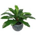 60Cm Bushy Large Artificial Bird's Nest Fern Plant