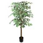 Artificial Ficus Tree Realistic Extra Large 5Ft Botanik