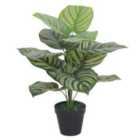 60Cm Artificial Green Stripe Leaf Plant