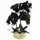 Orchid Black - Gold Ceramic Planter