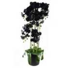 110Cm Large Black Orchid Plant - Artifcial - 41 Real Touch Flowers