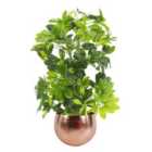 Artificial Plant With Premium Metal Planter Botanik 75Cm