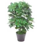 Artificial Plant Umbrella Tree Black Plastic Pot 55Cm