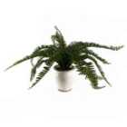 40Cm Artificial Fern Bush In Decorative Planter