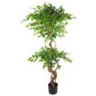 Artificial Japanese Fruticosa Tree Twisted Ficus 150Cm UK