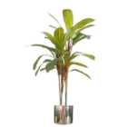 Artificial 100Cm Realistic Dracaena Tropical Plant With Silver Metal Plater