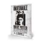 Harry Potter (undesirable No1) Micro Wood