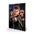 Harry Potter (harry Ron Hermione) Micro Wood