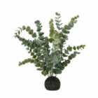Gallery Direct Eucalyptus In Soil Grey Green